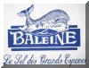 le sel de la baleine il ne reste qu' l'encadrer maintenant :-)